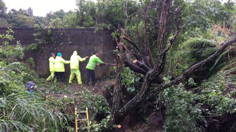 Atención de Emergencia La Municipalidad de Heredia trabaja en labores propias de atención de las emergencias ocasionada por la tormenta Tropical que afecta actualmente el país.