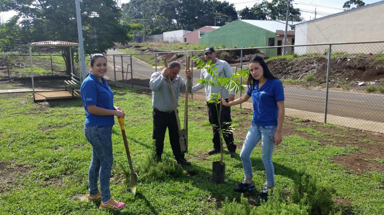 reforestación reforestación