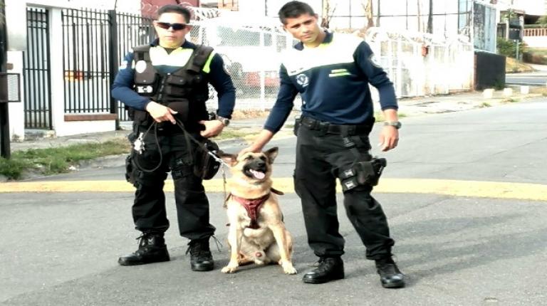 Seguridad Comunitaria