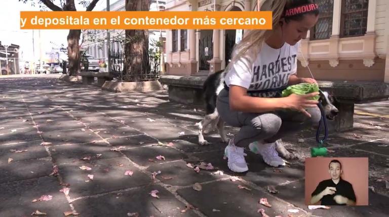 Embedded thumbnail for Contenedores para las heces de sus mascotas