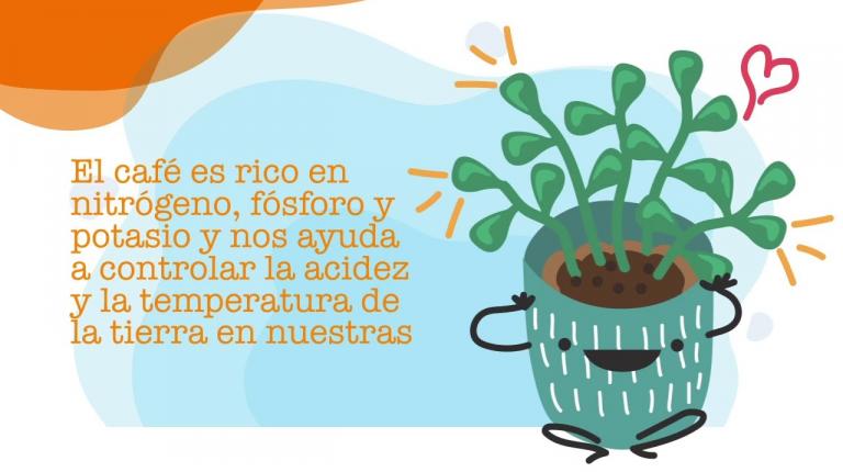 Embedded thumbnail for Creación de Abono orgánico