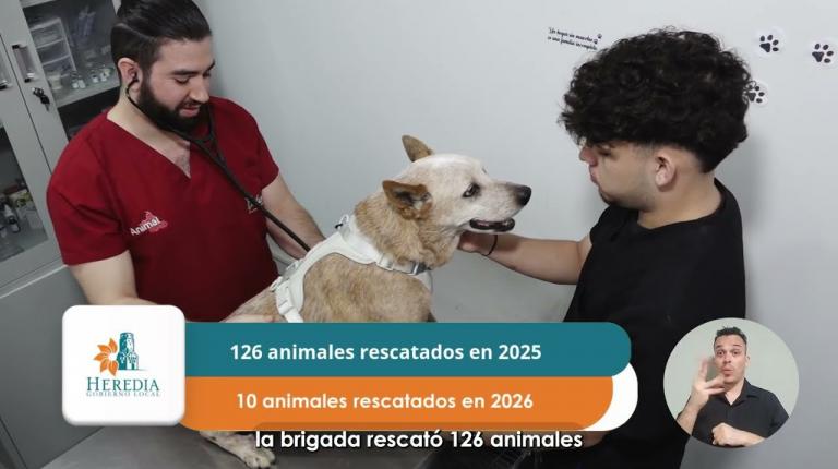 Embedded thumbnail for Segunda oportunidad para Wallie: El trabajo de la Brigada de Emergencias para Animales de Heredia