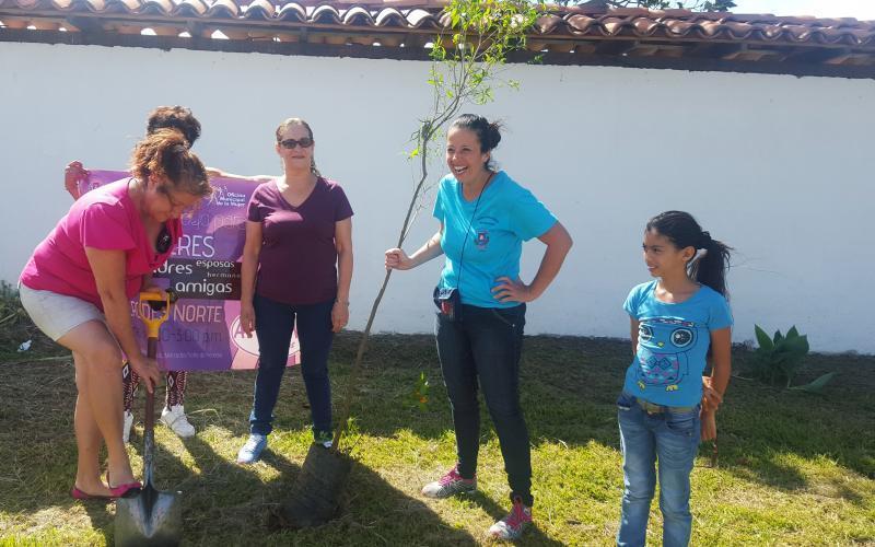 reforestación reforestación