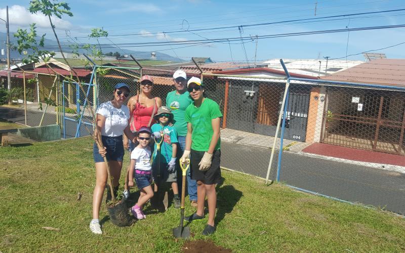 reforestación reforestación