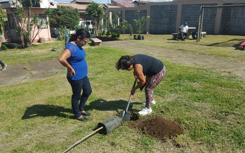 reforestación reforestación