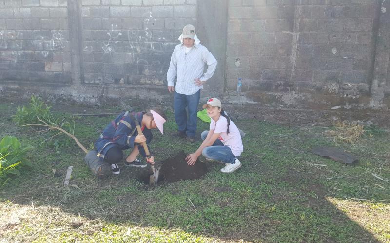 reforestación reforestación