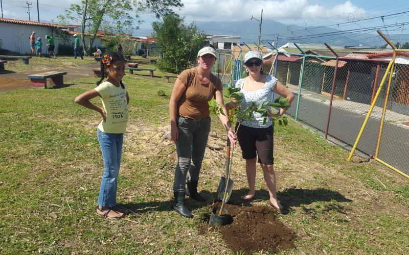 reforestación reforestación