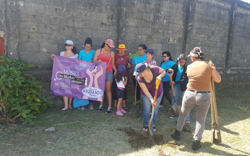 reforestación reforestación