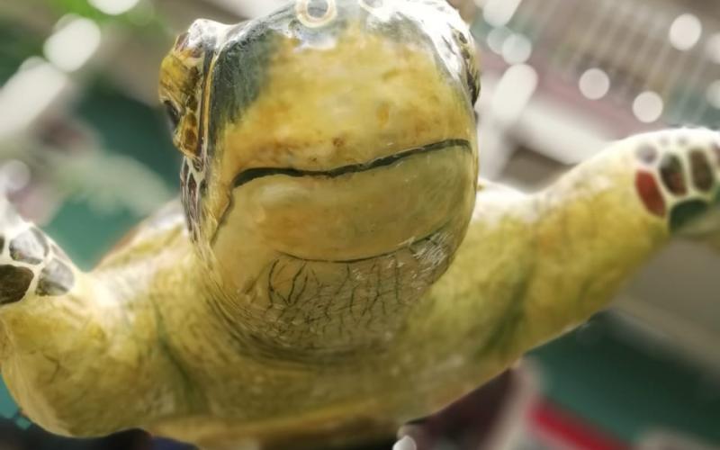 Exposición Nacional de Escultura Fadrique Gutiérrez Exposición Nacional de Escultura Fadrique Gutiérrez