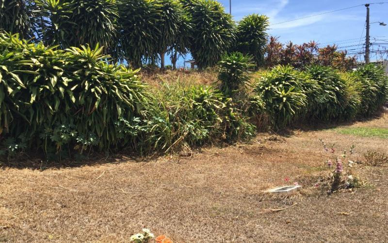 Cementerio Mercedes Norte Mantenimiento de Cementerios