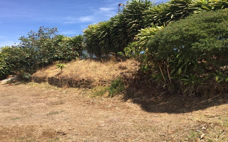 Cementerio Mercedes Norte Mantenimiento de Cementerios
