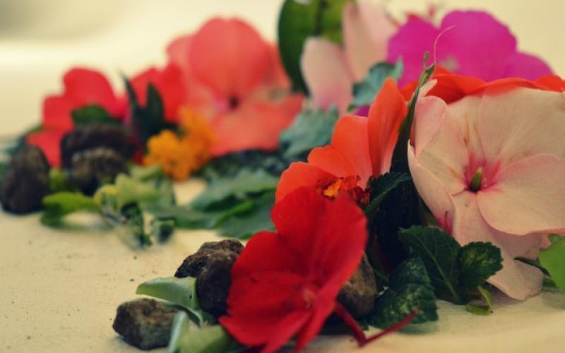 Taller Artístico fotografía