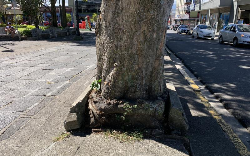 Remodelación costado oeste parque Nicolás Ulloa Remodelación costado oeste parque Nicolás Ulloa