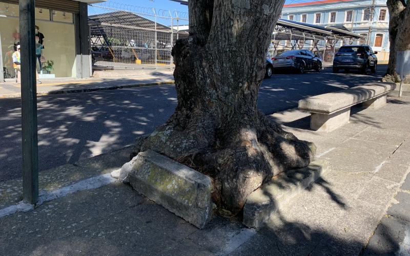 Remodelación costado oeste parque Nicolás Ulloa Remodelación costado oeste parque Nicolás Ulloa