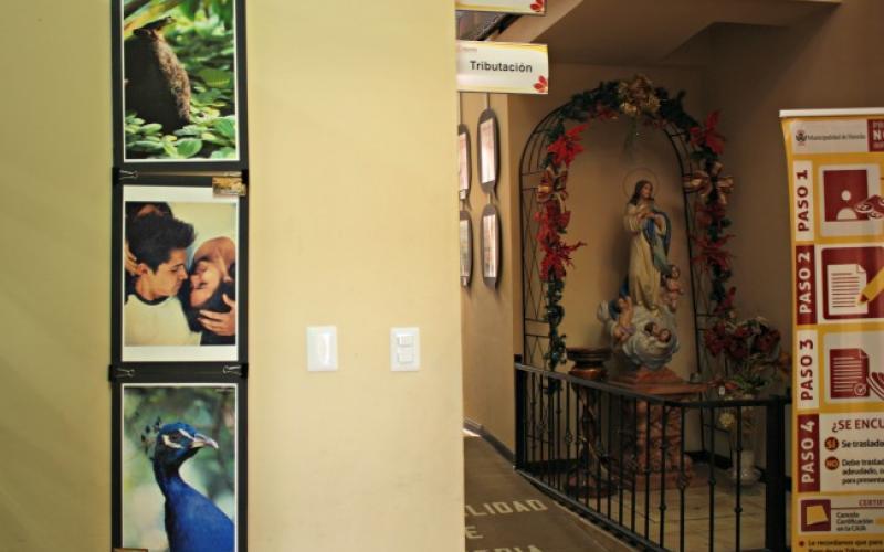 Taller Artístico fotografía