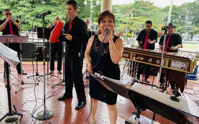 Día Persona Adulta Mayor