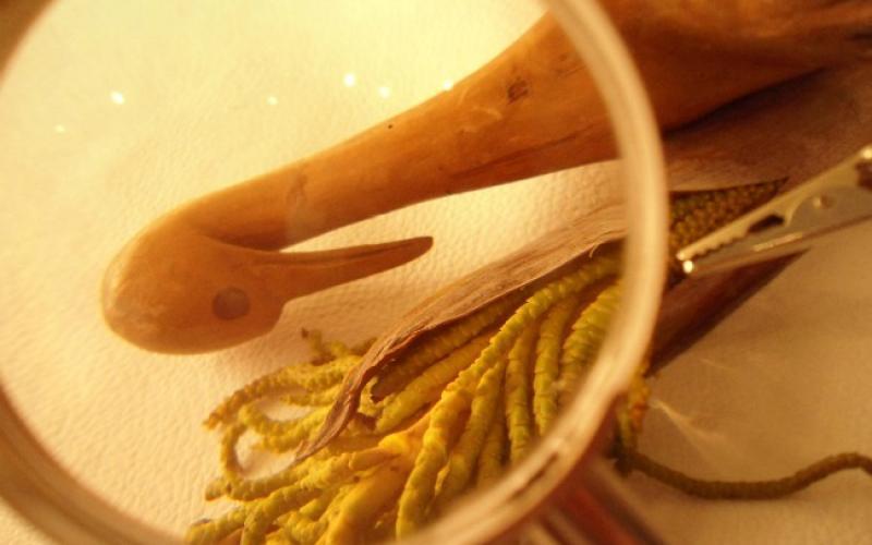 Taller Artístico fotografía