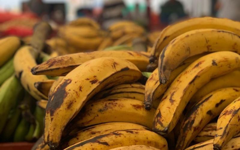 Traslado de la Feria del Agricultor 