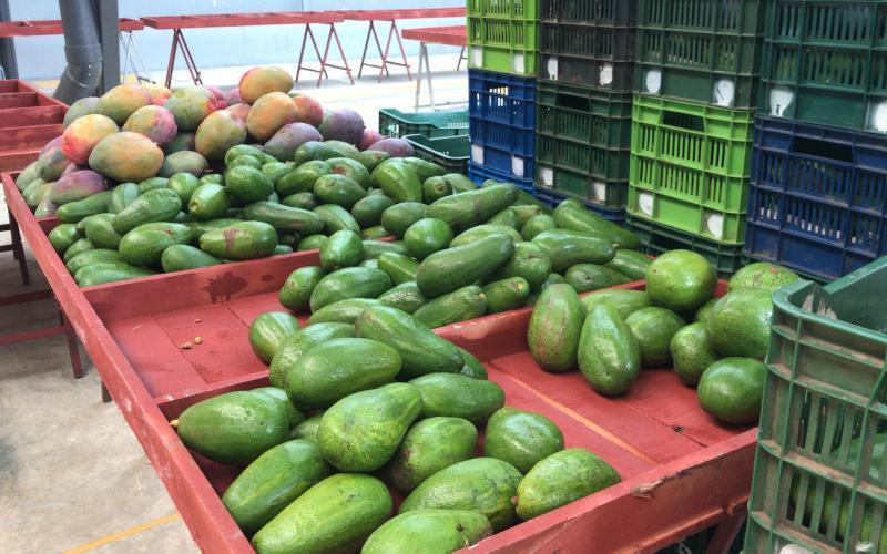 Traslado de la Feria del Agricultor 