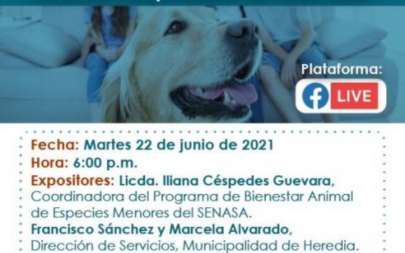 Tenencia responsable mascotas 